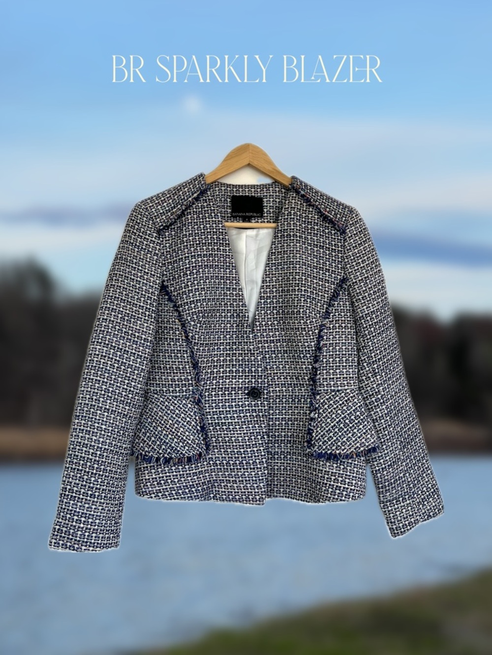 Banana Republic Sparkly Blazer